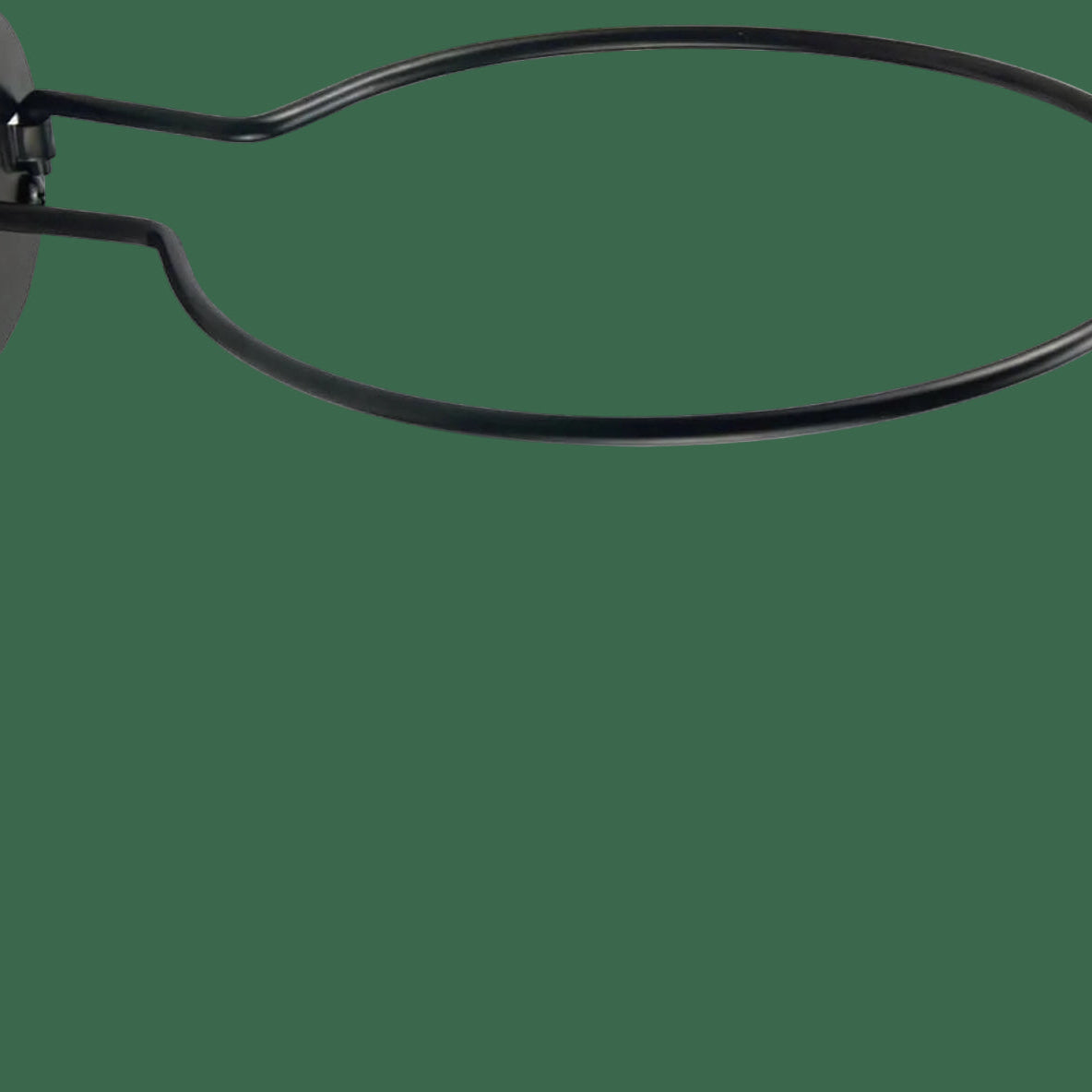 Black oval-shaped sports ball holder with football, soccer ball, basketball, volleyball, and plant holder attached.